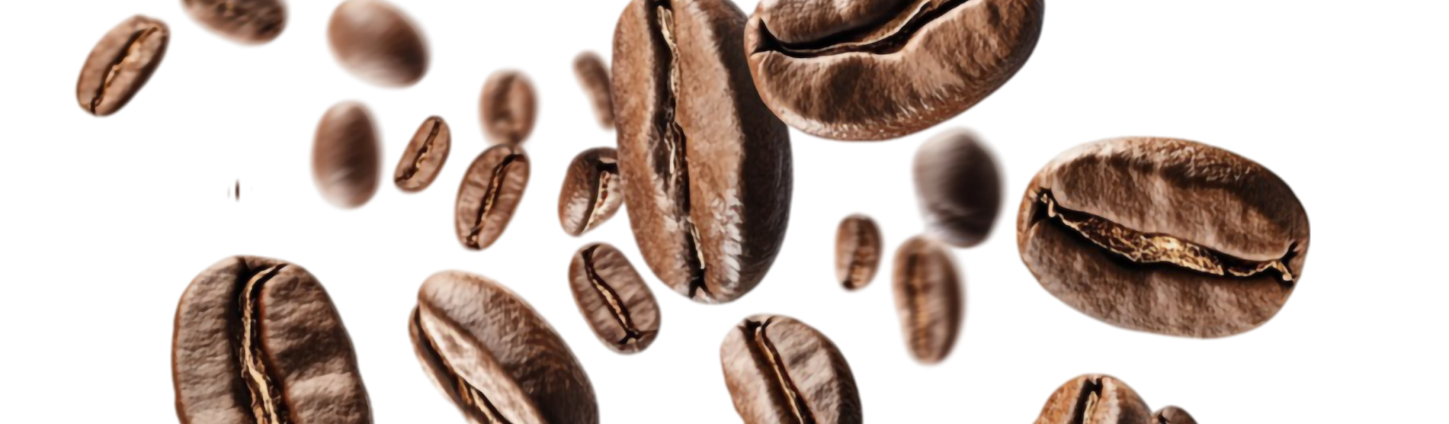 409869656_b5f6a54c-ce6f-4e38-a10e-f007f4636e73